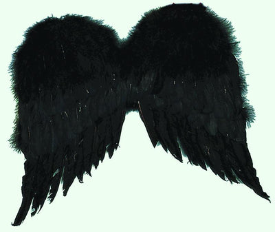 FEATHER WINGS- 36