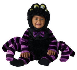 EENSY WEENSY SPIDER - INFANT 6-12Mo