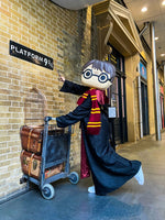 HARRY POTTER FUNKO HALF-MASK