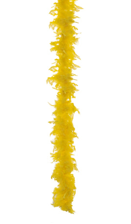 Yellow Boa