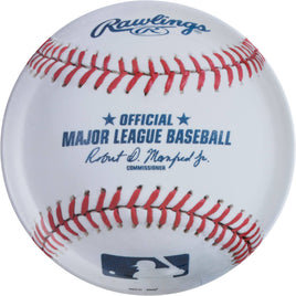 13.5in Major League Baseball Reusable Platter