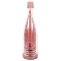 Pink & Gold Plastic Champagne Glasses in Storage Bottle 5 pc.