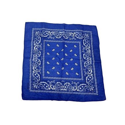 Blue Paisley Bandana 20x20in
