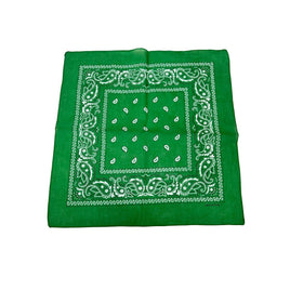 Green Paisley Bandana 20x20in