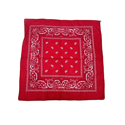 Red Paisley Bandana 20x20in