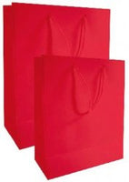 Medium Solid Color Everyday Gift Bag (Various Colors)
