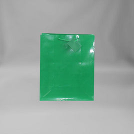 Small Everyday Green Matte Gift Bag