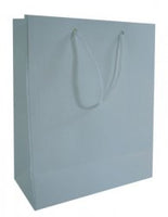 Medium Solid Color Everyday Gift Bag (Various Colors)