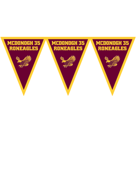 Mc Donogh 35 Roneagles  School Spirit Pennant Banner