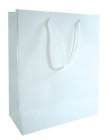 Medium Solid Color Everyday Gift Bag (Various Colors)