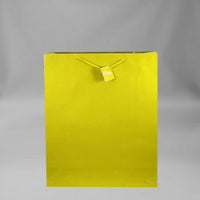 Medium Solid Color Everyday Gift Bag (Various Colors)