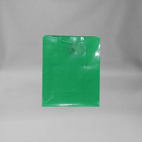 Medium Solid Color Everyday Gift Bag (Various Colors)