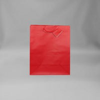 Every Day Solid Color Large Gift Bag (Various Colors)