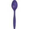 Purple Spoons 24 ct. 
