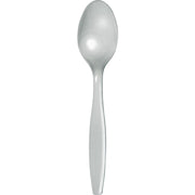 Shimmering Silver Spoons 24 ct. 