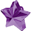 170 G STAR WEIGHT - PURPLE