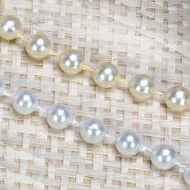10MM MOT Pearl-White