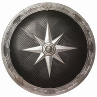 Silver And Black Shield