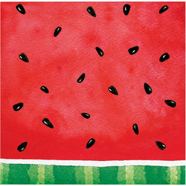 Watermelon Check Beverage Napkins 16 ct.