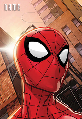 Spider Man Loot Bags 8 ct 