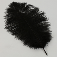 15" Ostrich Feathers