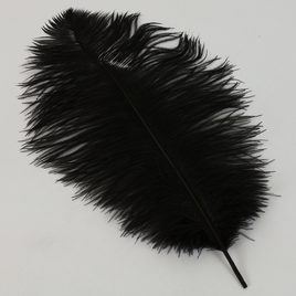 15" Ostrich Feathers