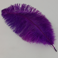 15" Ostrich Feathers