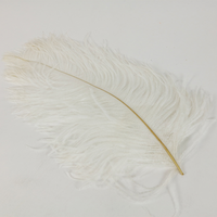 15" Ostrich Feathers