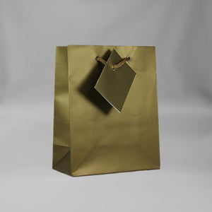 Small Everyday Gold Gift Bag