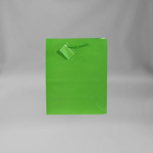 Small Everyday Lime Green Matte Gift Bag