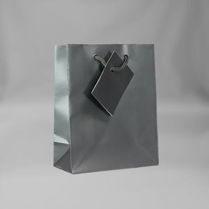 Small Everyday Silver Gift Bag