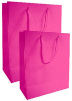 Every Day Solid Color Large Gift Bag (Various Colors)