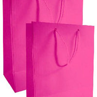 Every Day Solid Color Large Gift Bag (Various Colors)