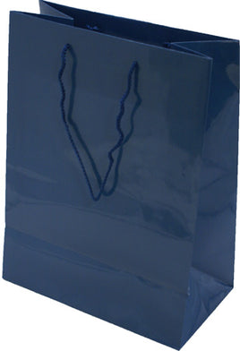 Large Gift Bag