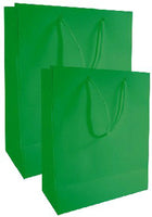 Every Day Solid Color Large Gift Bag (Various Colors)