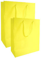 Every Day Solid Color Large Gift Bag (Various Colors)