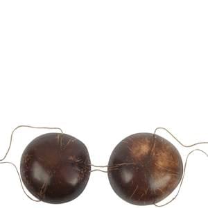 COCONUT SHELL BRA