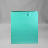 Every Day Solid Color Large Gift Bag (Various Colors)