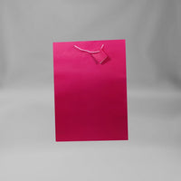 Large Gift Bag