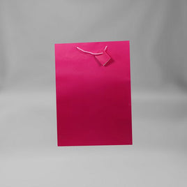 Large Gift Bag