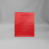 Small Everyday Red Gift Bag