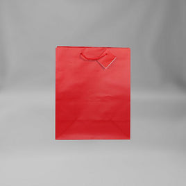 Small Everyday Red Gift Bag