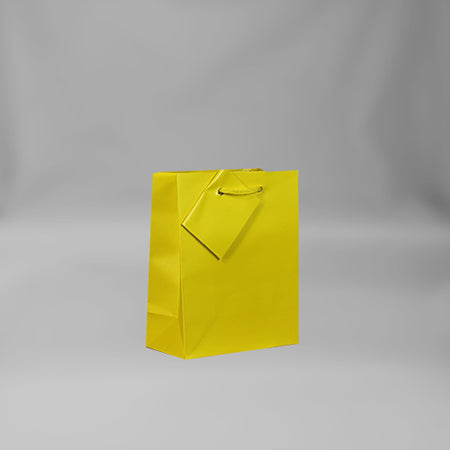 Small Everyday Yellow Gift Bag