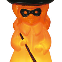 Witch  Light Up Blow Mold 17"