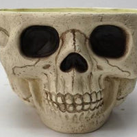 9.5" Skull Candy Bowl