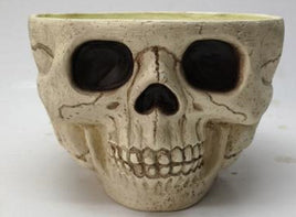9.5" Skull Candy Bowl