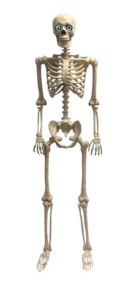 60" ANIMATED SKELETON MORPHING LIGHT UP EYES, MOVING MOUTH, TALKING.